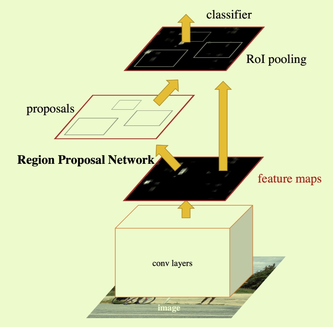 model architecture