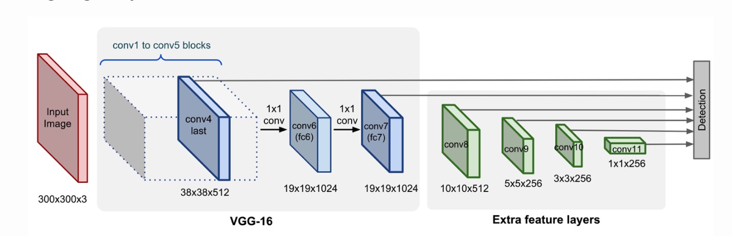 model architecture